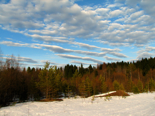 IMG 0570 1.jpg