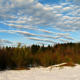 IMG 0570 1