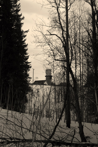 IMG 2997 1.jpg