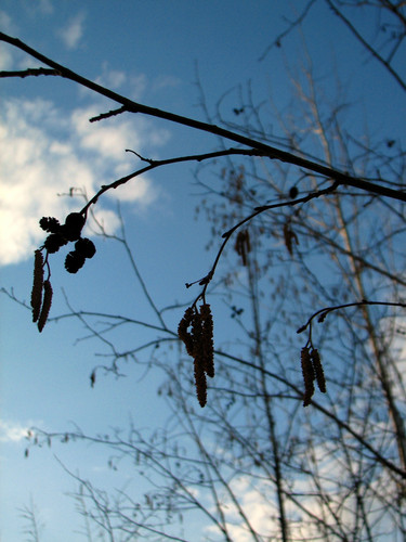 IMG 0574 1.jpg