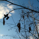 IMG 0574 1