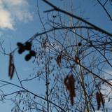 IMG 0575 1