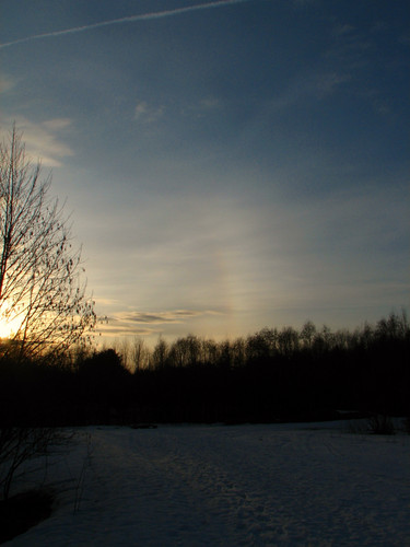 IMG 0592 1.jpg
