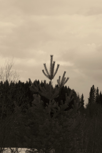 IMG 3007 1.jpg