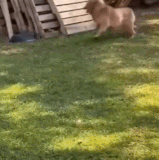 h2KA5aJZpR8oWBm.gif