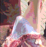 狗看着都流泪 ​​​.gif