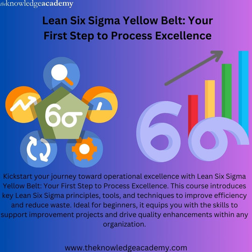 Lean Six Sigma Yellow Belt Your First Step to Process Excellence.jpg