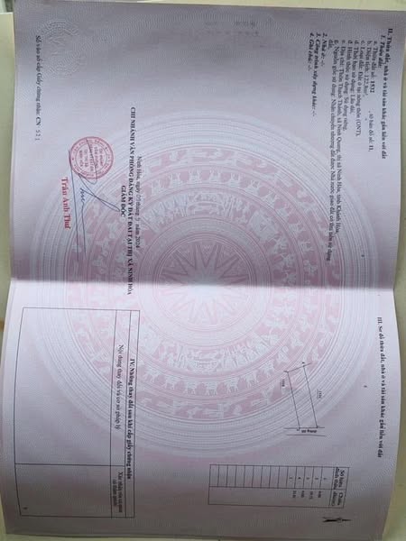 491683180 1343889313801420 2338763501349742639 n.jpg