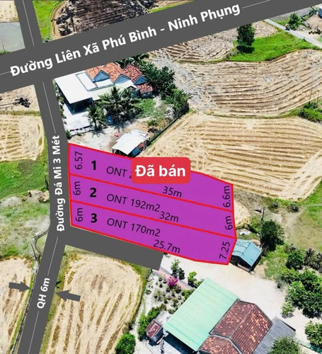 492168336 682734094133144 6916014915742467660 n.jpg