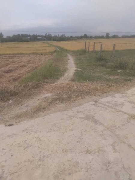 491309020 3894429470773753 1864683638166103974 n.jpg