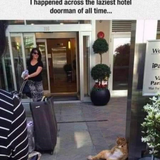 travel meme 26 480.png