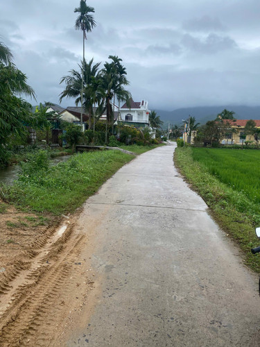 491274937 1196502558553119 9106693434931359408 n.jpg