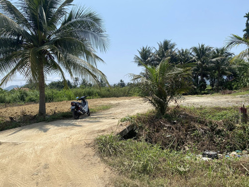 490780814 1196502551886453 7422872117102911598 n.jpg