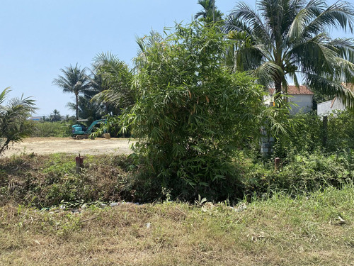 489570493 1196502481886460 6826795345704837305 n.jpg