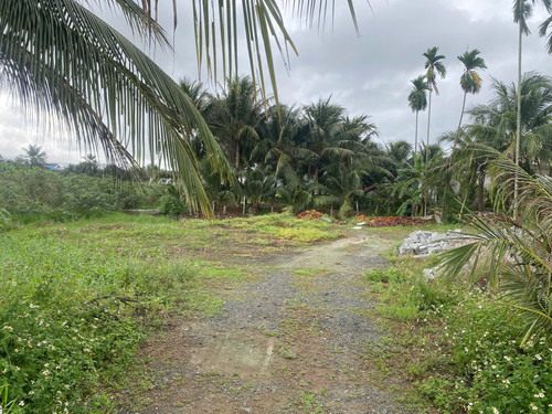 491997345 1196502451886463 7903378371487806987 n.jpg