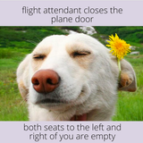 travel meme 30 480.png