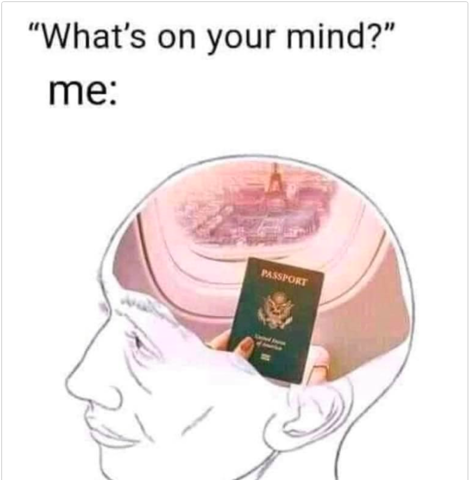 travel meme 29 480.png