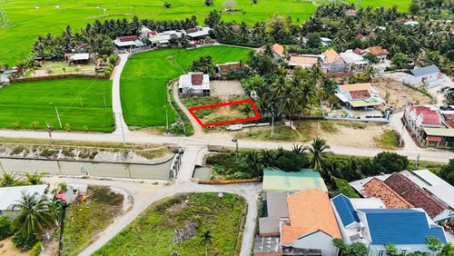 491595410 1060470476132419 5538116557491350535 n.jpg