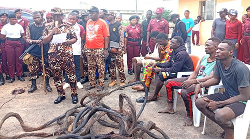 IMG 20250418 181122 1536x858.jpg