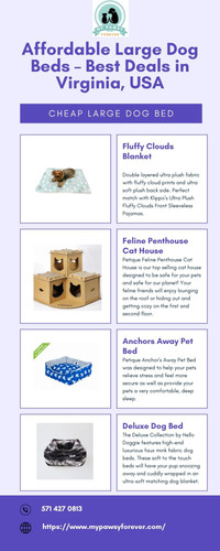 Affordable Large Dog Beds – Best Deals in Virginia, USA.jpg