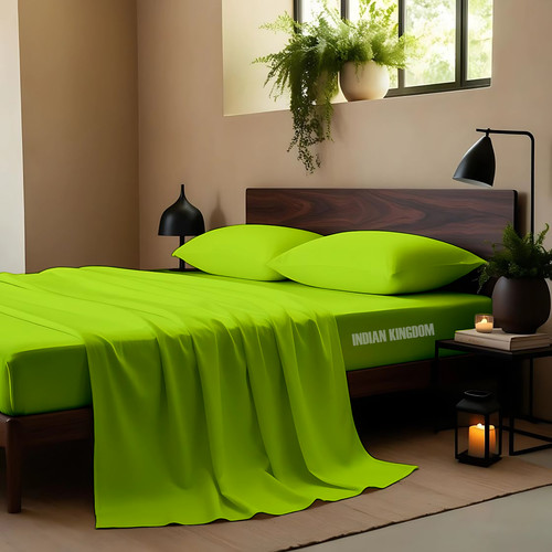 Parrot Green (2).jpg