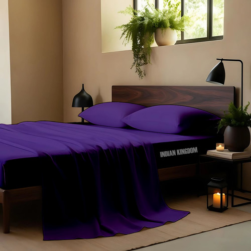 Purple (2).jpg