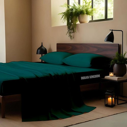 Teal (2).jpg