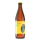 pol pl Browar Stu Mostow Pale Ale butelka 500 ml 19 1