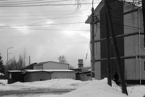 IMG 2984 1.jpg