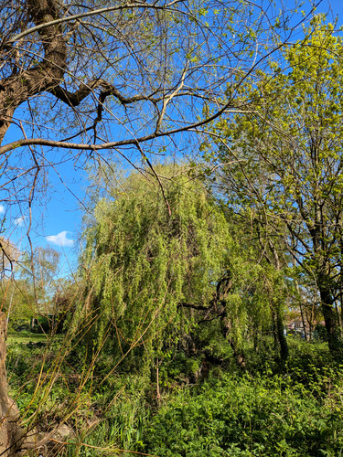 PXL_20250417_100318141.jpg