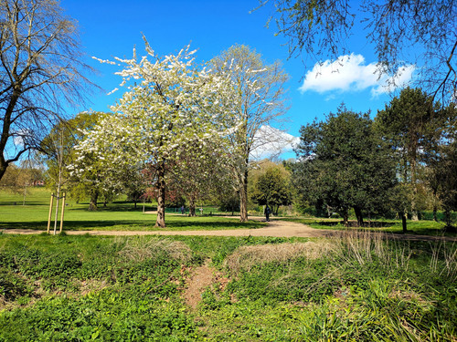 PXL_20250417_100238419.jpg