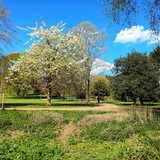 PXL_20250417_100238419