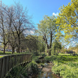 PXL_20250417_100221194