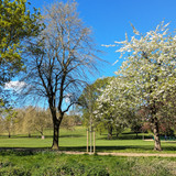 PXL_20250417_100234011
