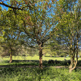 PXL_20250417_095254042