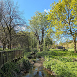 PXL_20250417_100218503