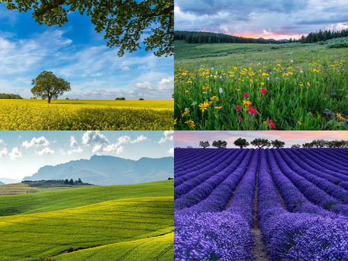 ' Glorified is The  All-Mighty Creator '.jpg