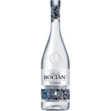 bocian 500