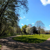 PXL_20250417_101024497