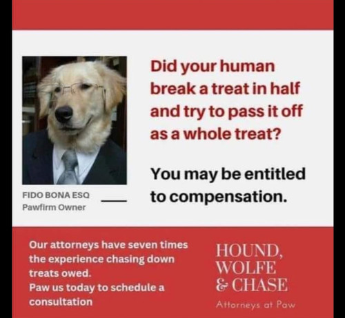 480973228 1235557697937746 8564015116490921799 n.jpg