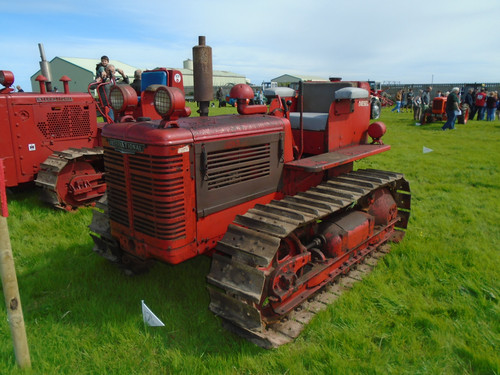 DSC01493.jpg