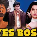 hm144 yes boss card.webp