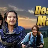 hm146 dear maya card