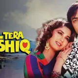 hm150 dil tera aashiq