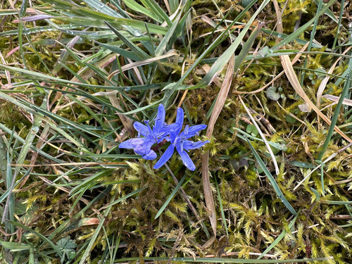 blau.jpg