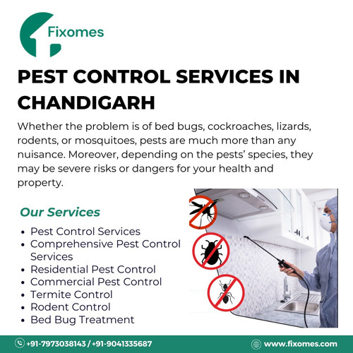 Pest Control Services in Chandigarh  Call 7973038143  Perks to know.jpg