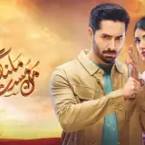 t246 mann mast malang card