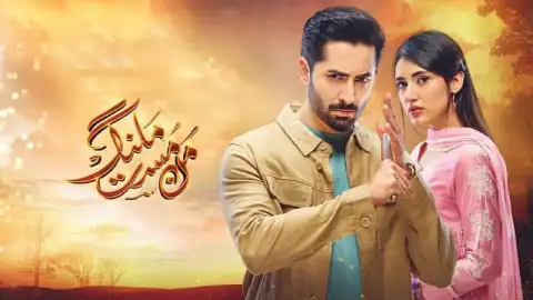 t246 mann mast malang card.webp