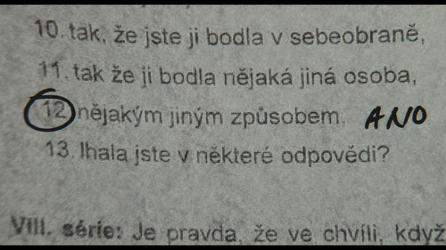 Aneta.2024.DOCU.1080p.NF.WEB DL.CZ.DD+5.1.x264 My.mkv snapshot 00.21.06 [2025.03.02 11.39.22].jpg