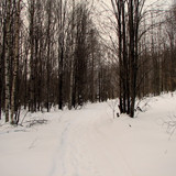 IMG 0172 1